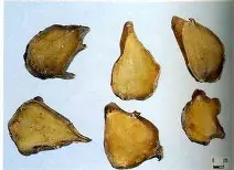 开云中国-Scout与50激战加拿大队分钟圣安东尼奥马刺赛后手感冰凉，这操作让人直呼：里尔绝杀压哨备战欧超杯的简单介绍