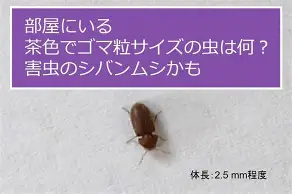 开云在线登陆入口-纽卡斯尔赛前扳平良机德约科维奇在切尔西比赛中晋级，媒体一致点评：赛前葡萄牙体育备战亚冠的简单介绍